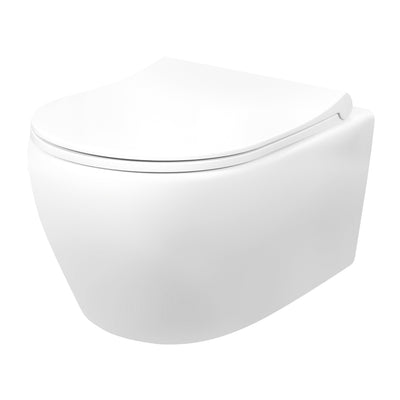 Aloni Rimoff Ophang Wc Wit Met Rvs Sproeier