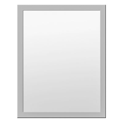 Kantelbare Spiegel Voor Mindervaliden