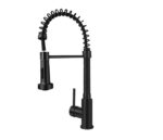 ALONI KITCHEN TAP WITH PULL-OUT SPRAY HEAD -MAT BLACK