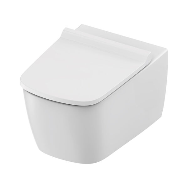 WC SUSPENDU TECENEO AVEC BIDET - AVEC ROBINET DE BIDET - EAU FROIDE - AVEC SIÈGE DESIGN SLIM - 54 CM - BLANC BRILLANT