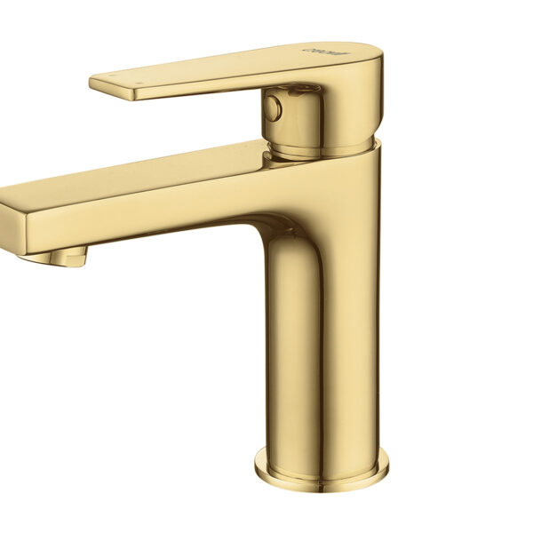 CREAVIT SHARP WASBAKMENGKRAAN - GOUD