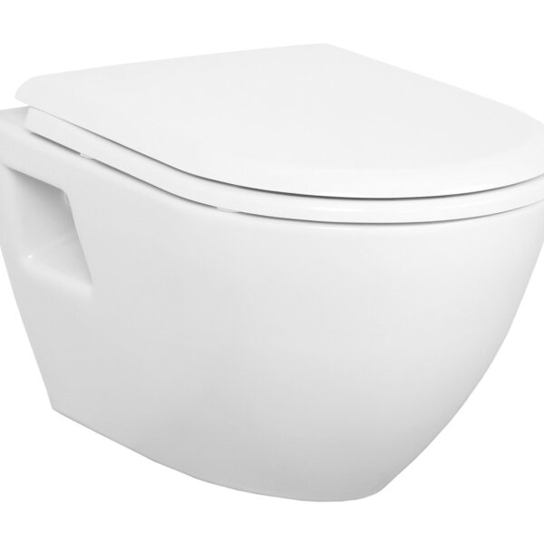 WC SUSPENDU DESIGN AVEC PULVÉRISATEUR (BIDET) EN ACIER INOXYDABLE, BASALTE MAT