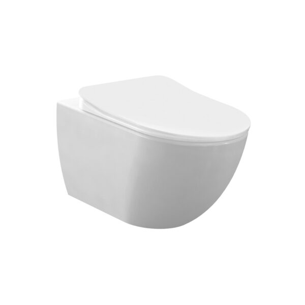 WC SUSPENDU RIMOFF AVEC PULVÉRISATEUR (BIDET) EN ACIER INOXYDABLE, BLANC MAT